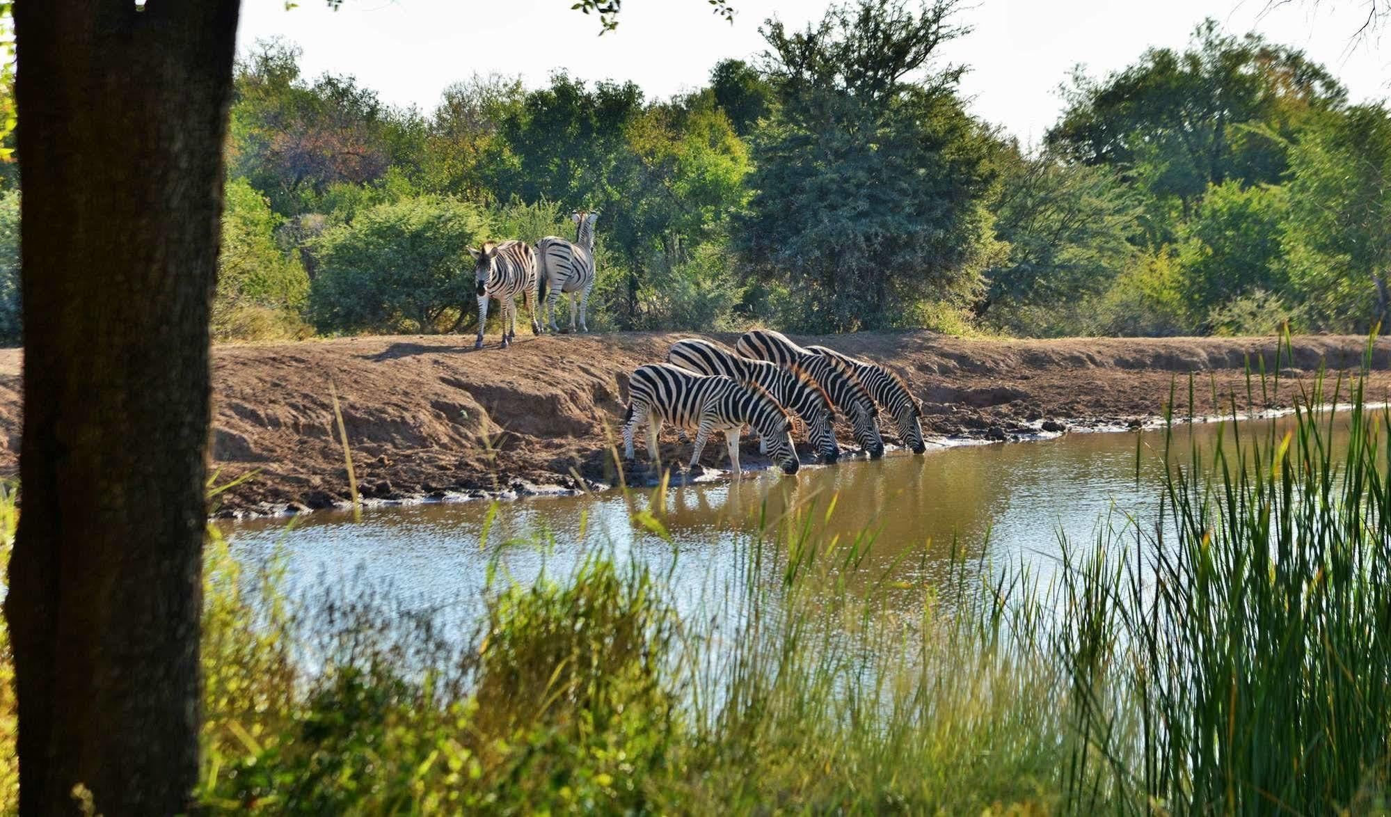 Black Rhino Game Lodge Ruighoek Mine 외부 사진